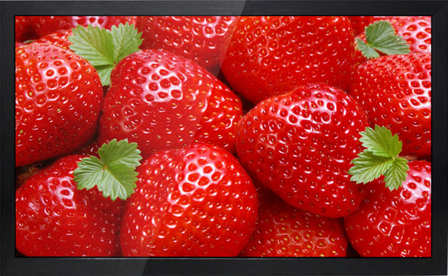 高清液晶监视器